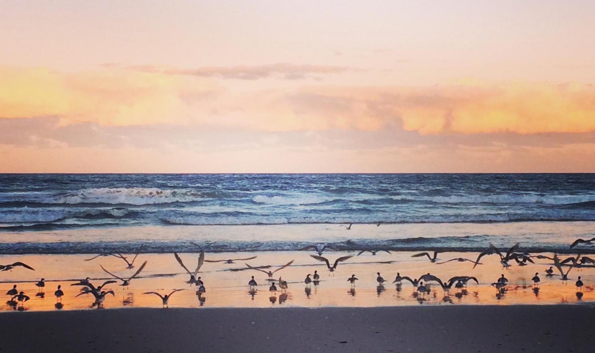 Beach Bliss Suffolk Park Esterno foto